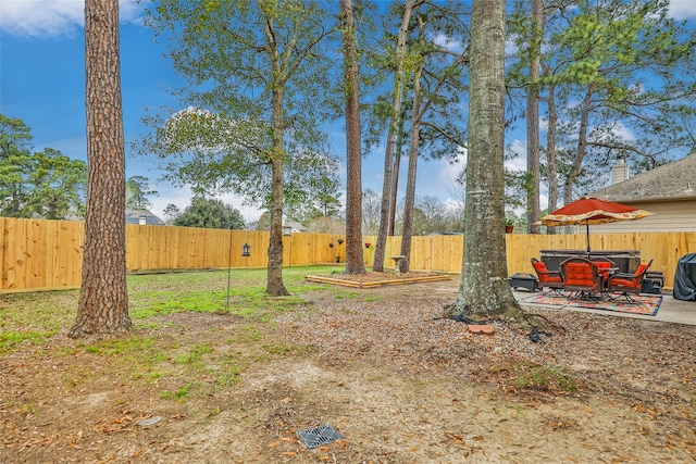 view of yard with a patio and a fenced backyard