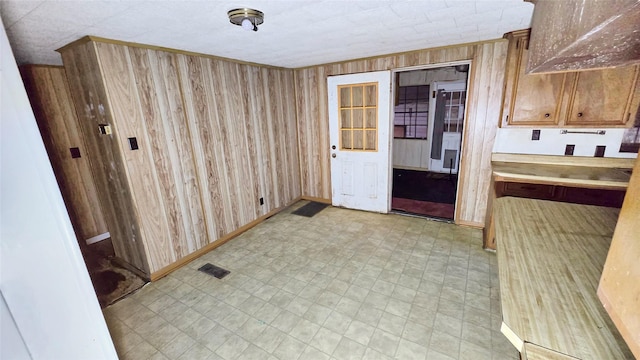 kitchen featuring wooden walls