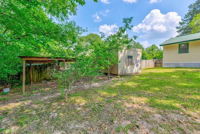 view of yard with a storage shed