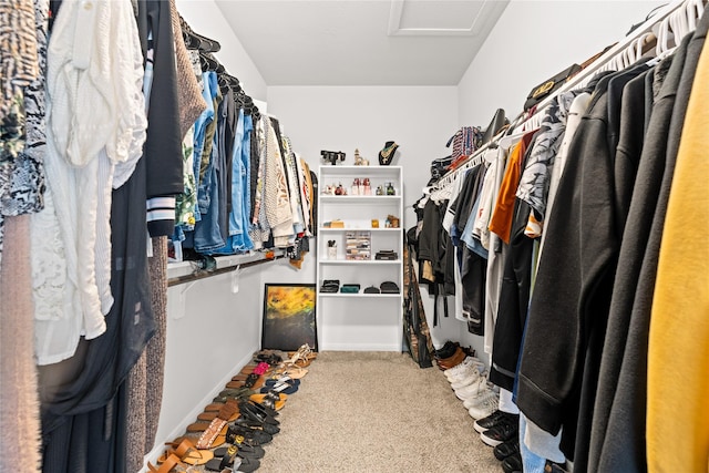 walk in closet featuring carpet floors