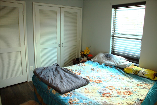 bedroom featuring dark wood-type flooring and a closet