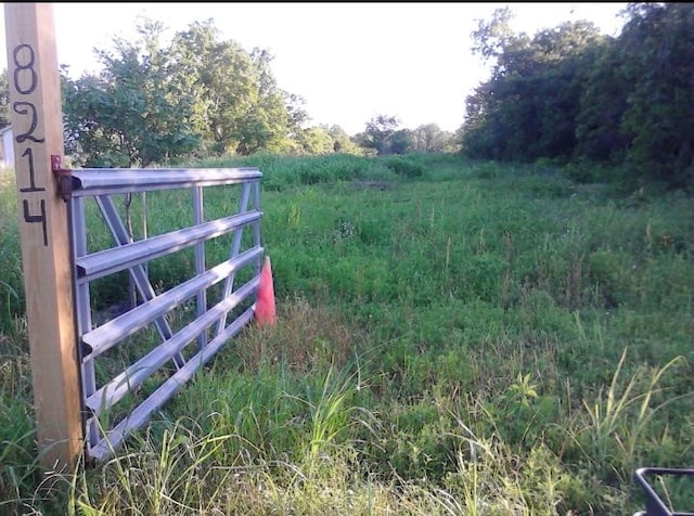 8214 Noble St, Needville, TX 77461 - photo 6