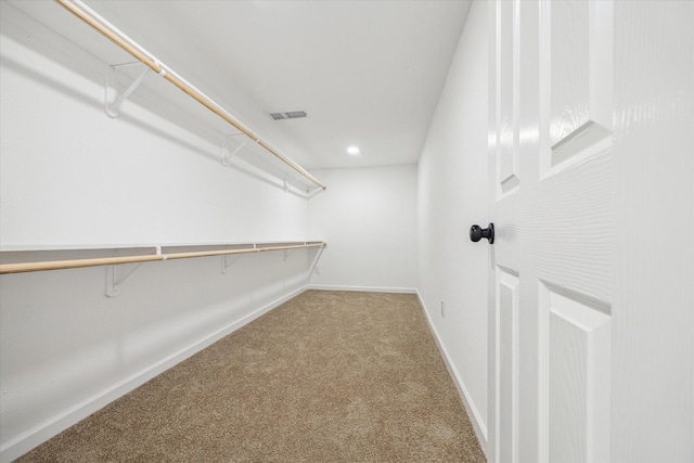 walk in closet with carpet floors