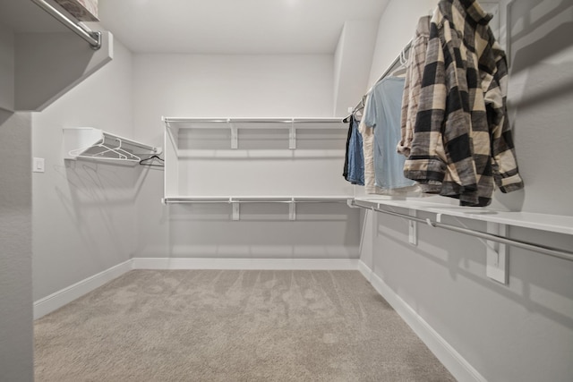 spacious closet with light carpet