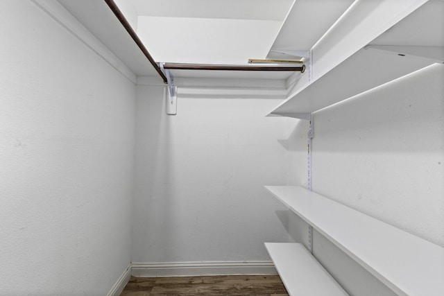 spacious closet featuring dark wood-type flooring