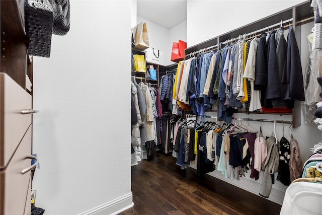 spacious closet featuring dark hardwood / wood-style flooring