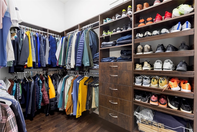 spacious closet featuring dark hardwood / wood-style floors