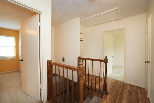 corridor with dark hardwood / wood-style floors and a textured ceiling