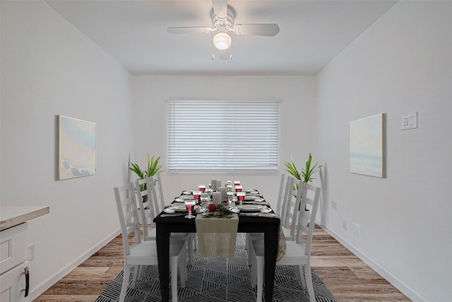 dining room with ceiling fan and light hardwood / wood-style flooring