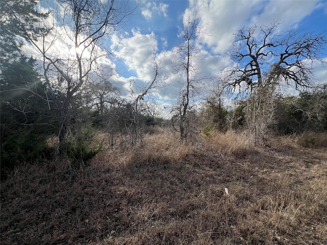 TBD Iron Bridge Rd, Burton TX, 77835 land for sale