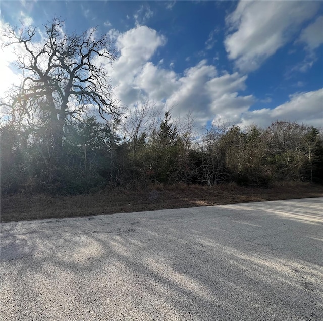 Listing photo 3 for TBD Iron Bridge Rd, Burton TX 77835