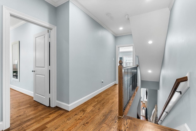 corridor featuring crown molding and hardwood / wood-style floors