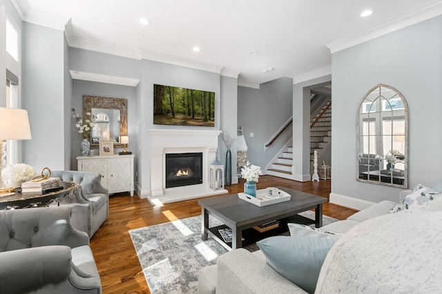 living room featuring dark wood-type flooring and crown molding