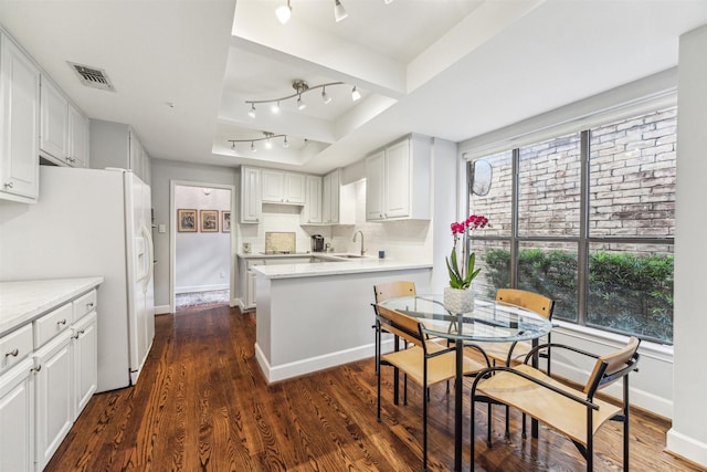 kitchen featuring a healthy amount of sunlight, dark hardwood / wood-style floors, a raised ceiling, and white cabinets