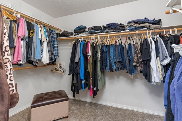 spacious closet with carpet flooring