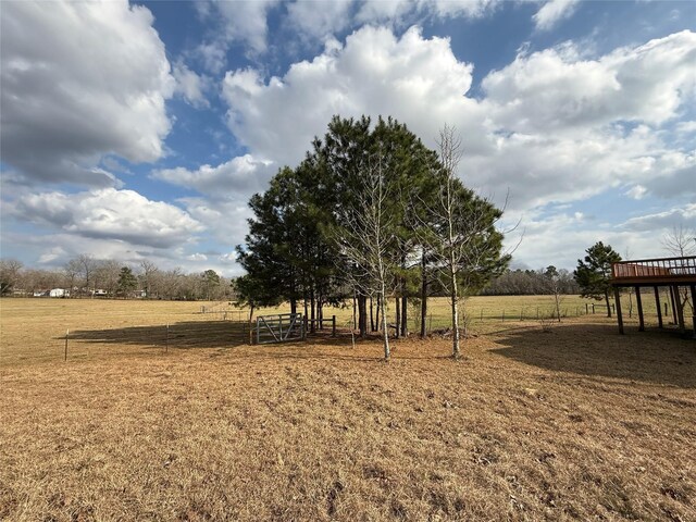 view of yard featuring a rural view