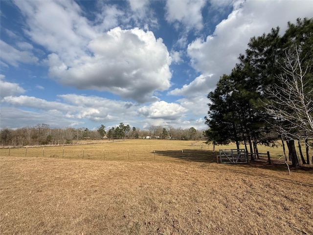 view of yard featuring a rural view