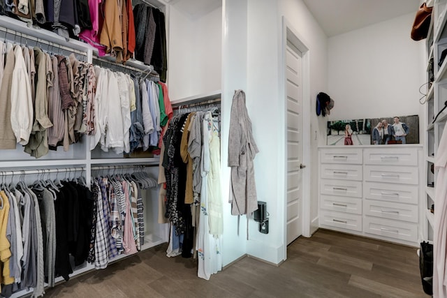 spacious closet featuring dark hardwood / wood-style flooring