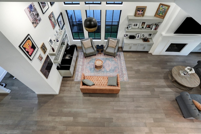 living room with hardwood / wood-style flooring