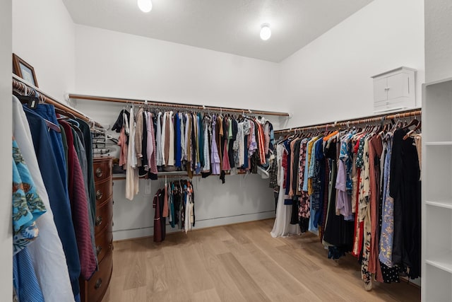 walk in closet with hardwood / wood-style flooring