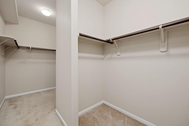 spacious closet featuring light colored carpet