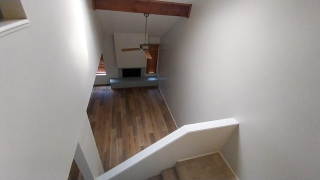 stairway with ceiling fan, beam ceiling, and hardwood / wood-style floors