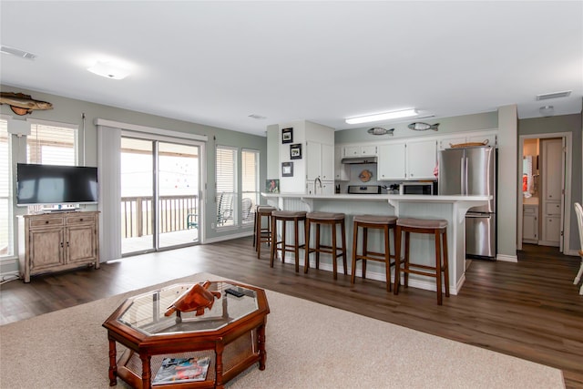 living room with plenty of natural light, sink, and dark hardwood / wood-style flooring