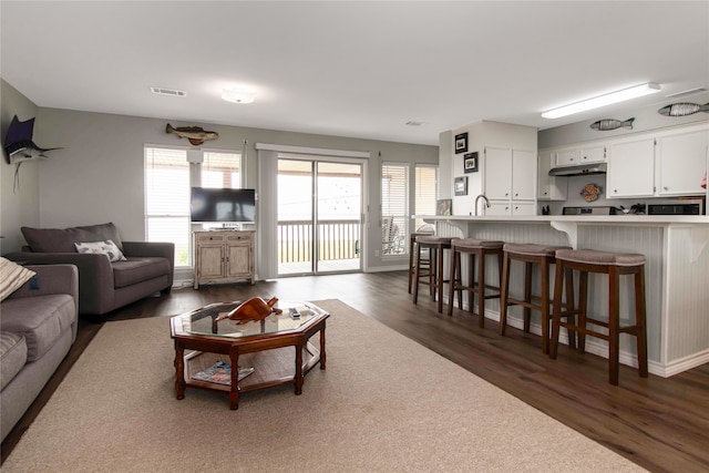 living room with dark wood-type flooring and sink