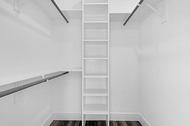 walk in closet with dark hardwood / wood-style floors