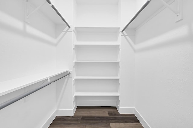 spacious closet featuring dark wood-type flooring