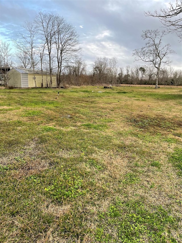 view of yard with a rural view