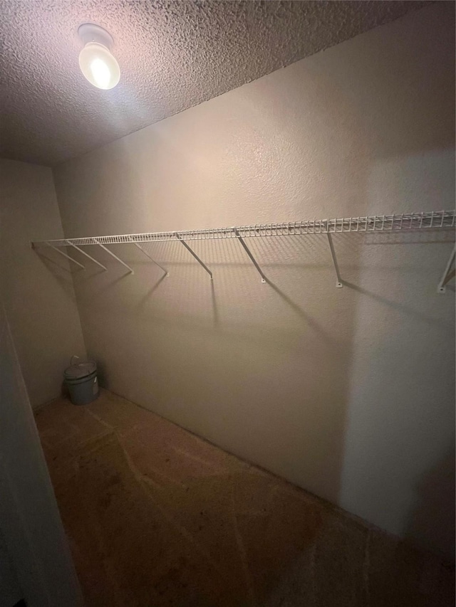 walk in closet featuring carpet