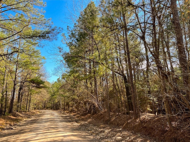 0000 Union Springs Rd, Corrigan TX, 75939 land for sale