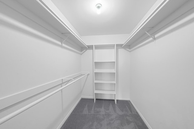 walk in closet featuring dark carpet