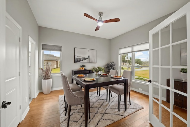 dining space featuring ceiling fan and light wood-type flooring