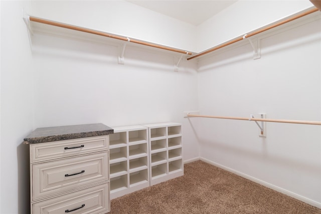 walk in closet with carpet flooring