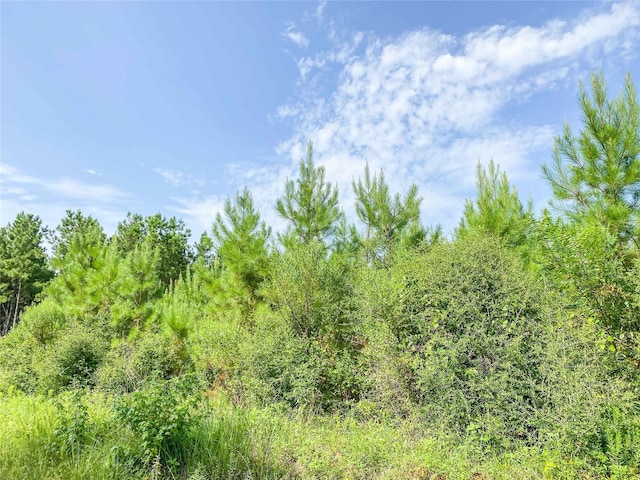 Listing photo 3 for 0 Jimbo Nettles Rd, Livingston TX 77351