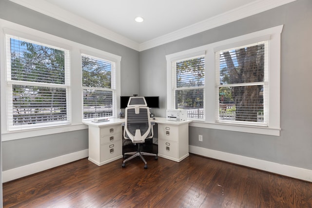 unfurnished office with ornamental molding and dark hardwood / wood-style floors