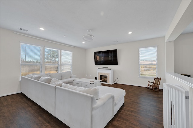 living room with a healthy amount of sunlight, dark hardwood / wood-style floors, and radiator heating unit