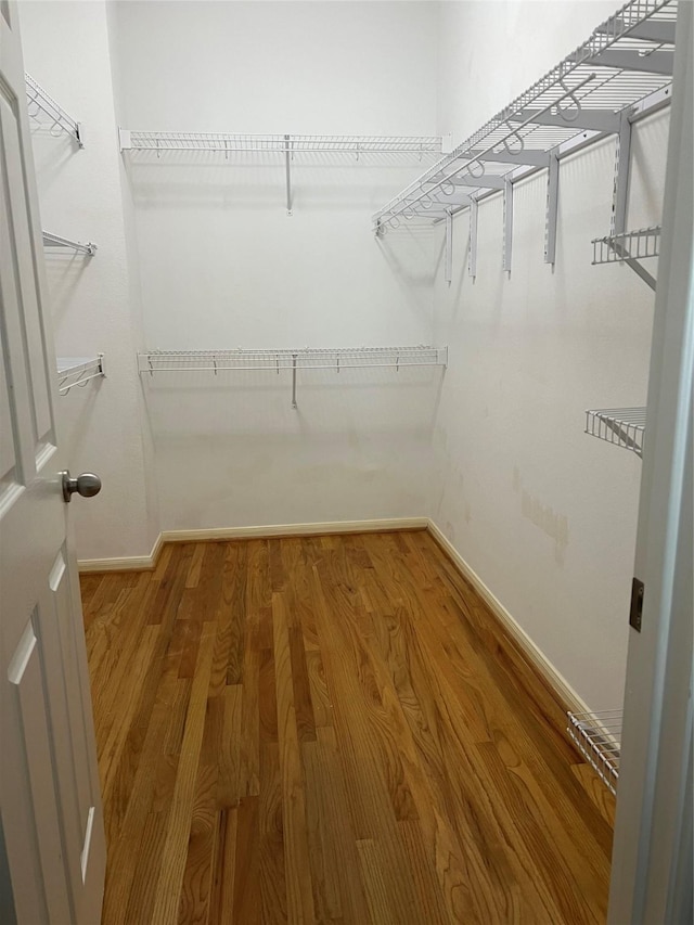 spacious closet featuring hardwood / wood-style floors