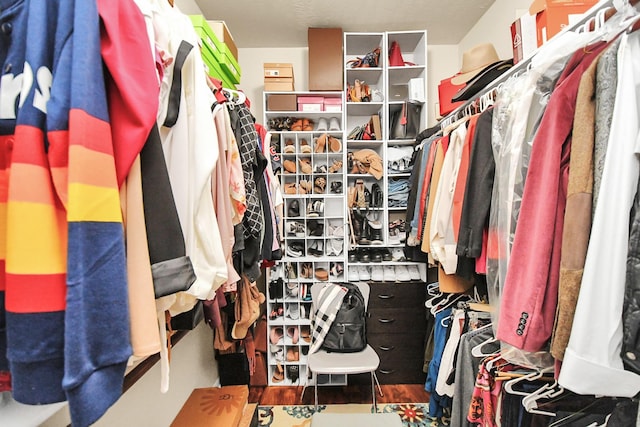 spacious closet with wood-type flooring