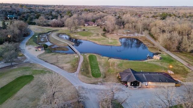 bird's eye view with a water view and a wooded view