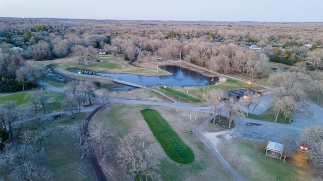 bird's eye view with a water view