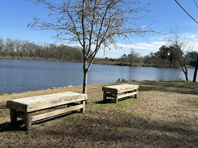 view of property's community featuring a water view