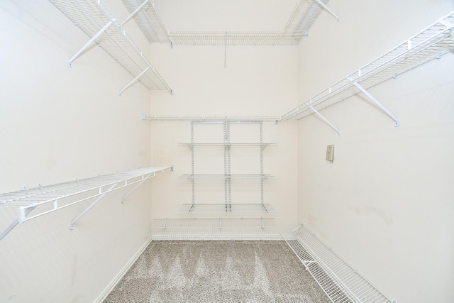 walk in closet featuring carpet flooring