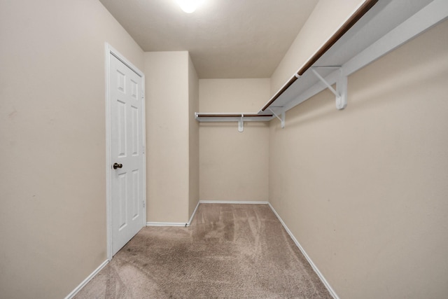 walk in closet with carpet floors