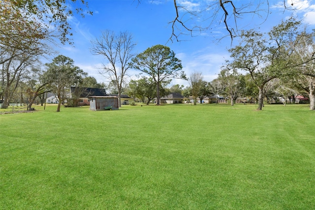 view of yard