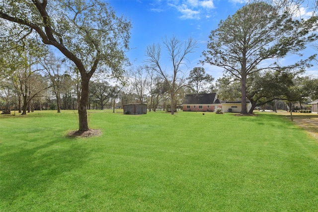 view of yard featuring a storage shed