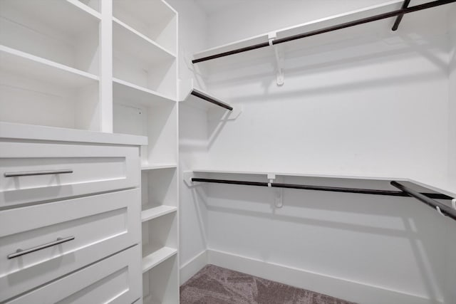 walk in closet with light carpet