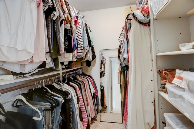 view of spacious closet